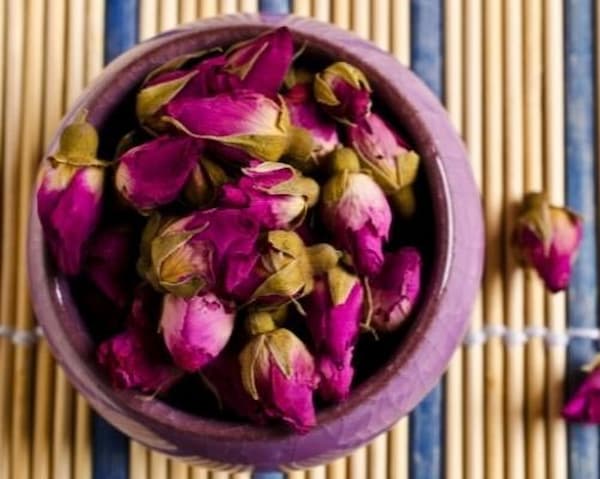 خرید غنچه گل محمدی لاله زار + قیمت فروش استثنایی